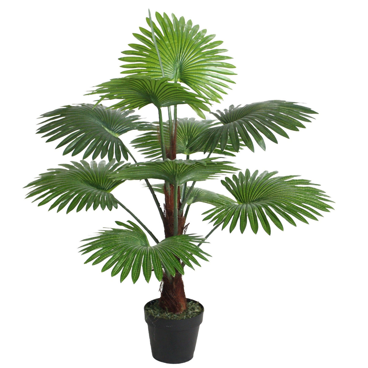 Evergreen Palm Tree Plant 177cm