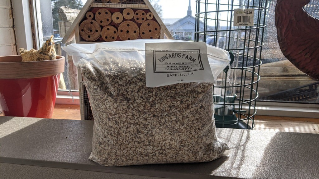 An image of our Safflower Birdseed