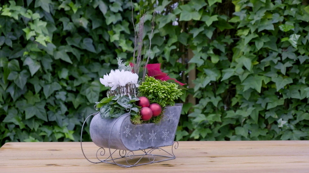 Create Your Own Charming Christmas Planter!