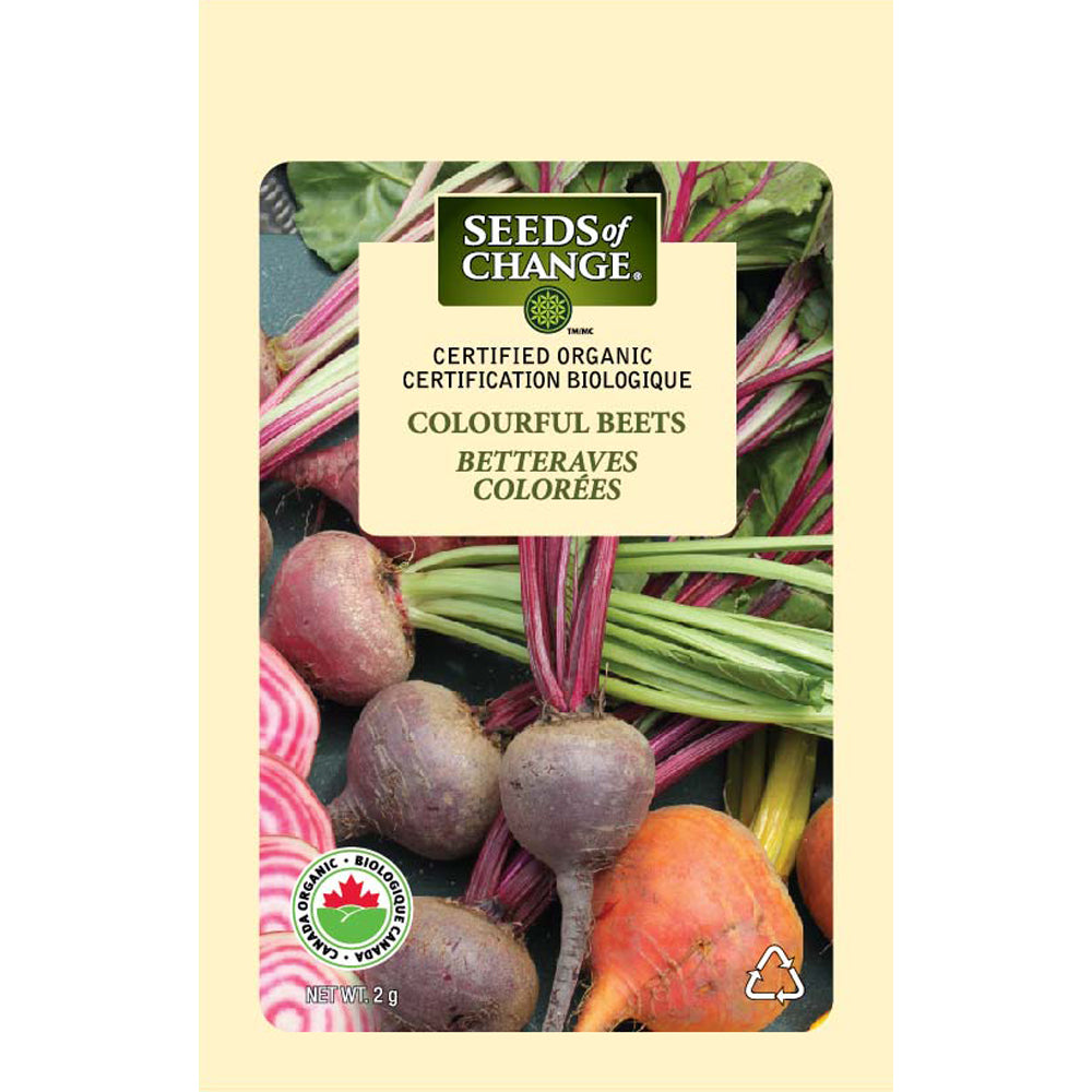 Colourful Beet Mix Seeds Front
